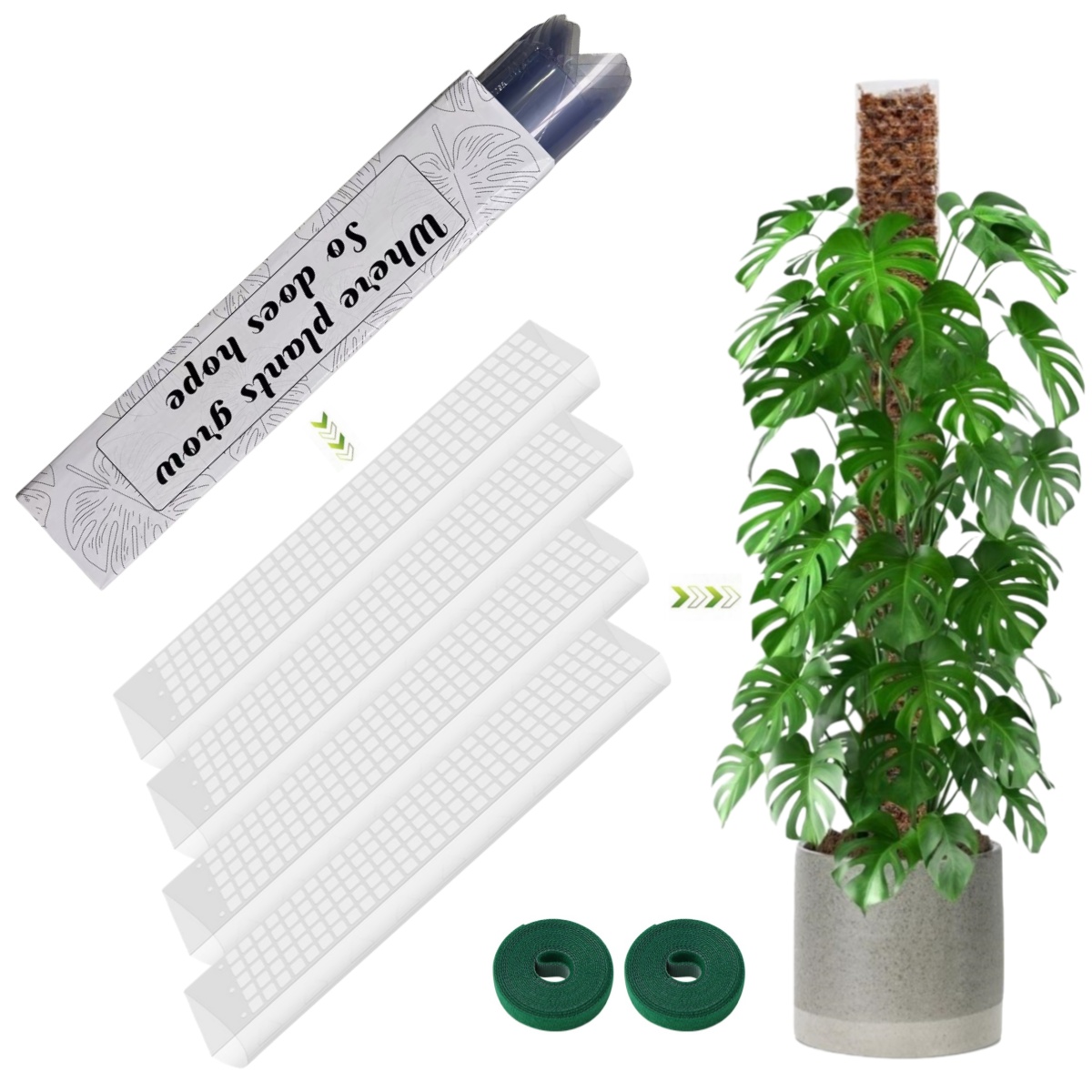 Sphagnum Moss Dry - Support en plastique pour plantes grimpantes