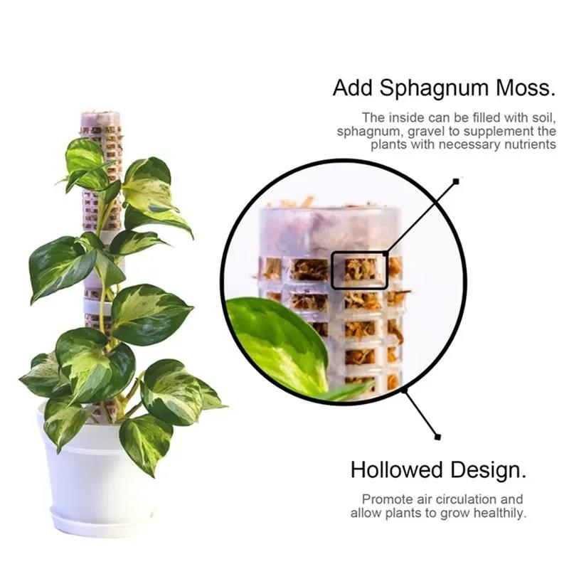 Sphagnum Moss Dry - Support de plante grimpante, treillis de