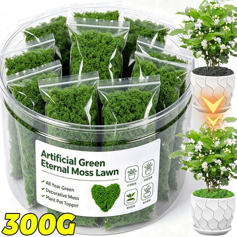 Sphagnum Moss Dry - Plantes vertes artificielles, mousse éternelle, mousse