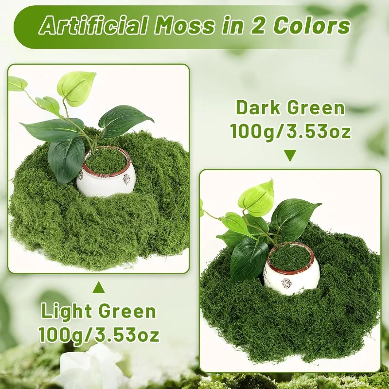 Mousse artificielle verte, gaz - Sphagnum Moss Dry avis et prix