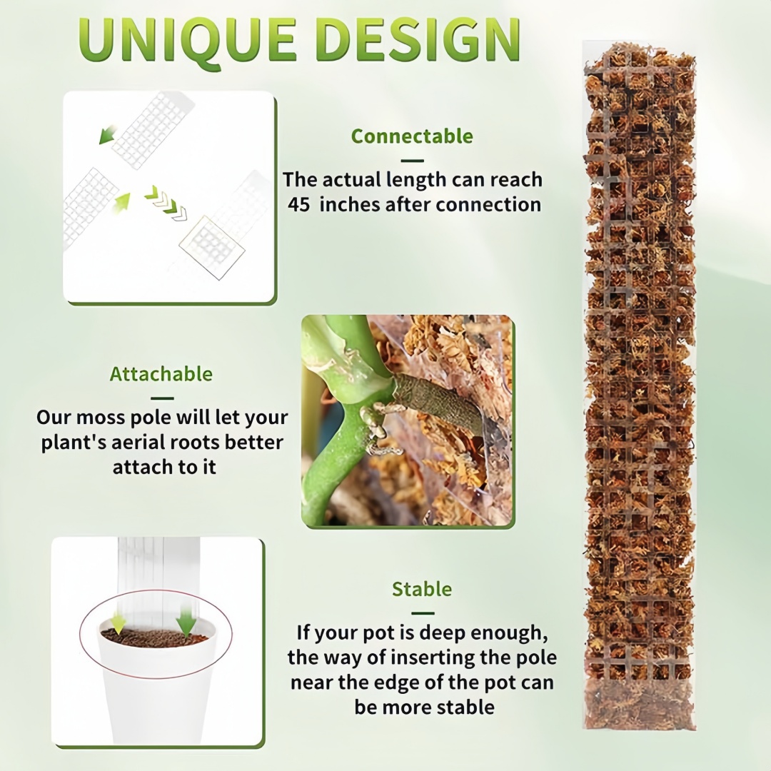 Support en plastique pour plan - Sphagnum Moss Dry avis et prix