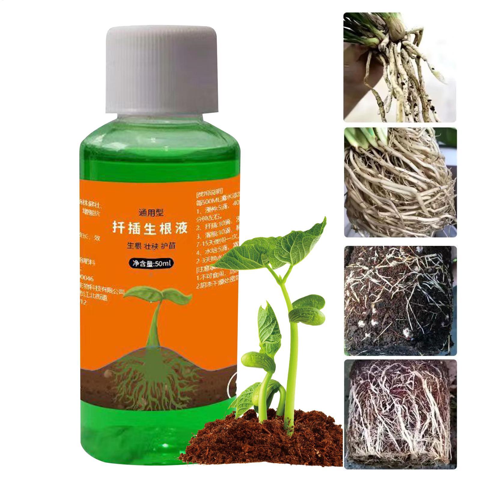 Stimulateur de racines haute p - Root Stimulator Liquid avis et prix