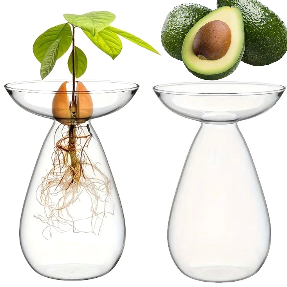 Vase de démarrage de graines d - Propagation Station Vase avis et prix