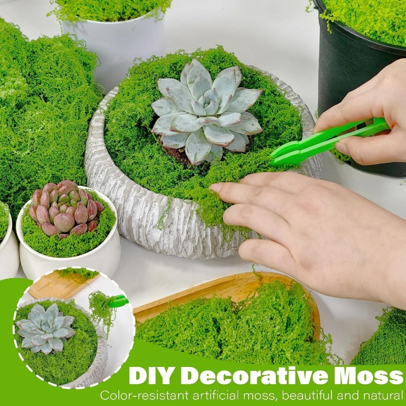 Plantes vertes artificielles,  - Sphagnum Moss Dry avis et prix